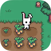 Bunny Market